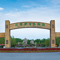 ������ʱ - �������ǲ�!